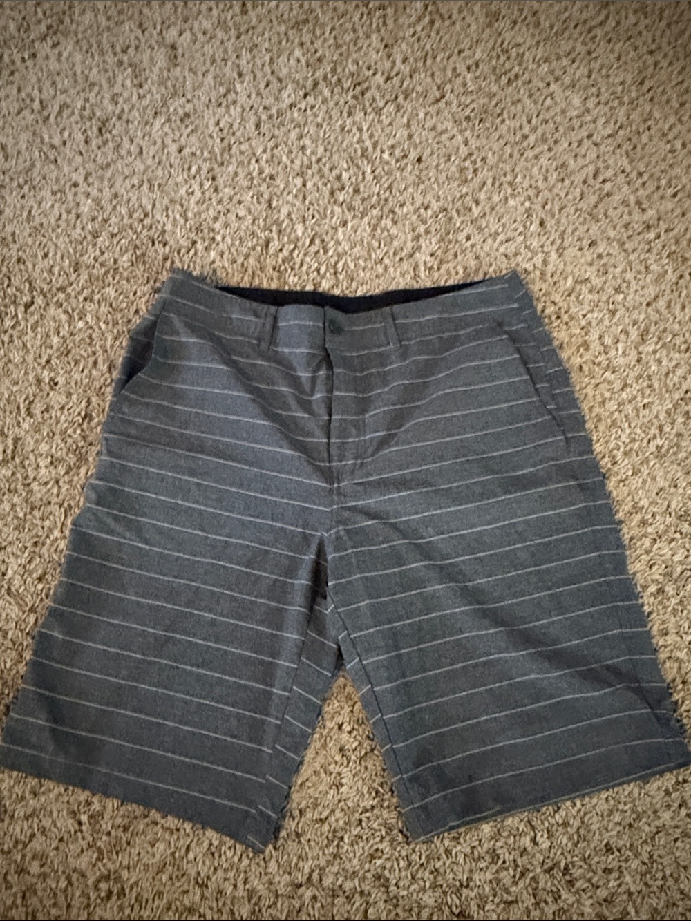 Men's Gray Stripe Casual Shorts goodfellow size 33
Swim material-quick dry
